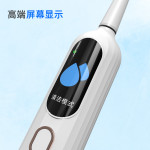 Sonic Sweep Electric Toothbrush HD Screen Adult Waterproof Toothbrush USB Rechargeable Toothbrush