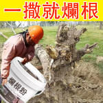 根粉
